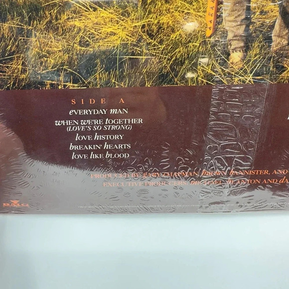 Gary Chapman - Side A & B Everyday Man Music - BMG Records Vinyl Record - Picture 4 of 6